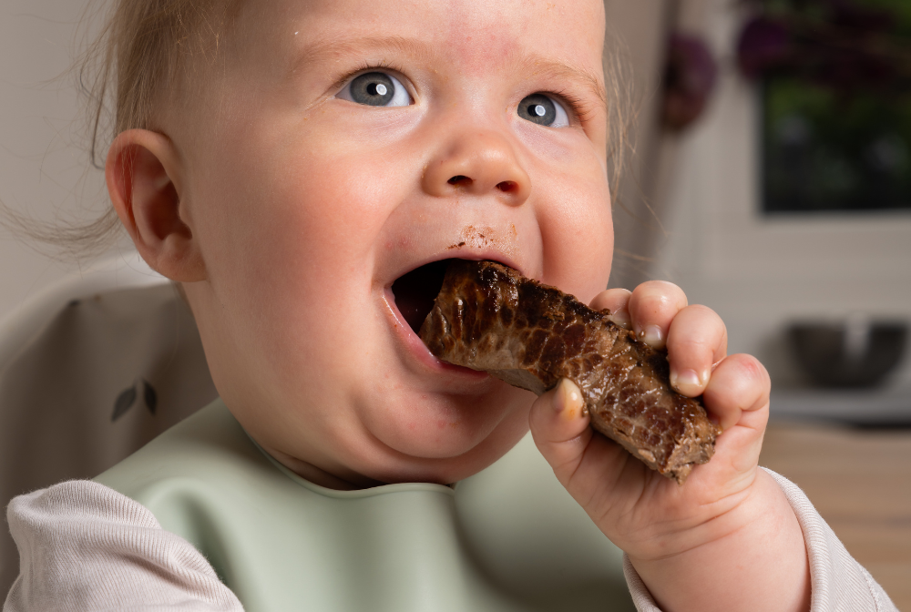 kottguide-servera-kott-till-bebis-plockmat